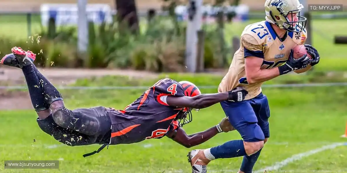 高清直播，锁定每一刻精彩！📺